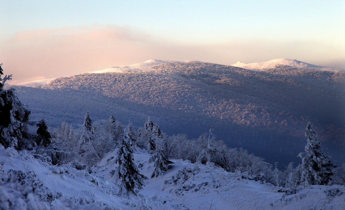 Морозний день