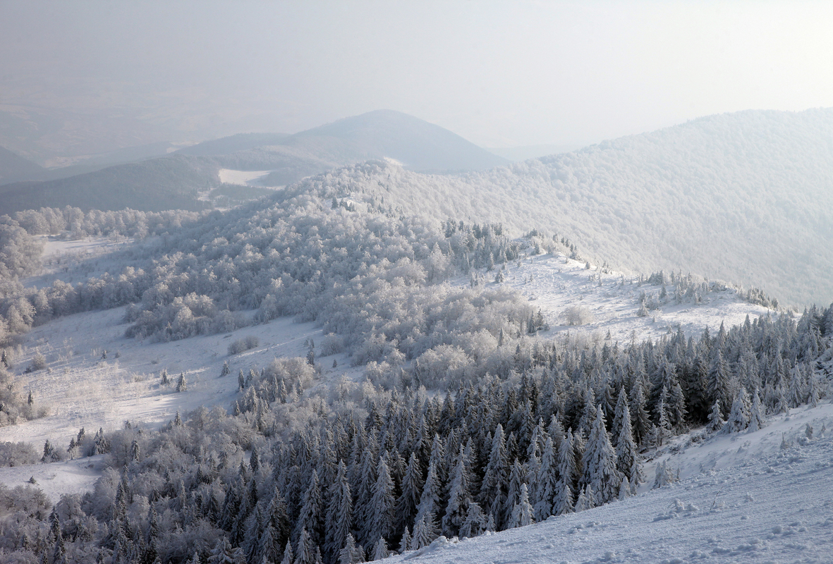 Похід на Пікуй