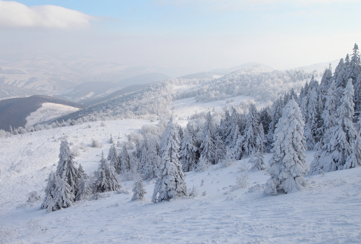   Похід на Пікуй