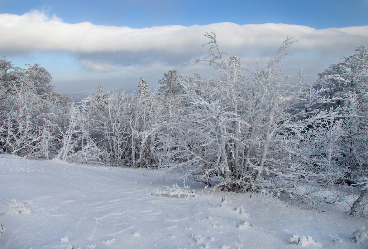 Похід на Пікуй