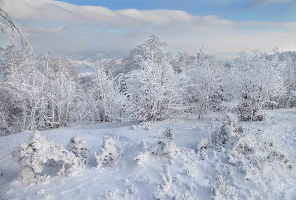 Похід на Пікуй