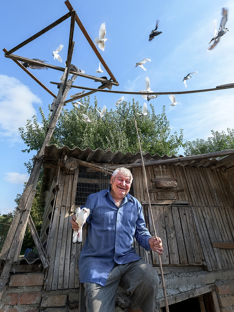 Летите голуби, летите