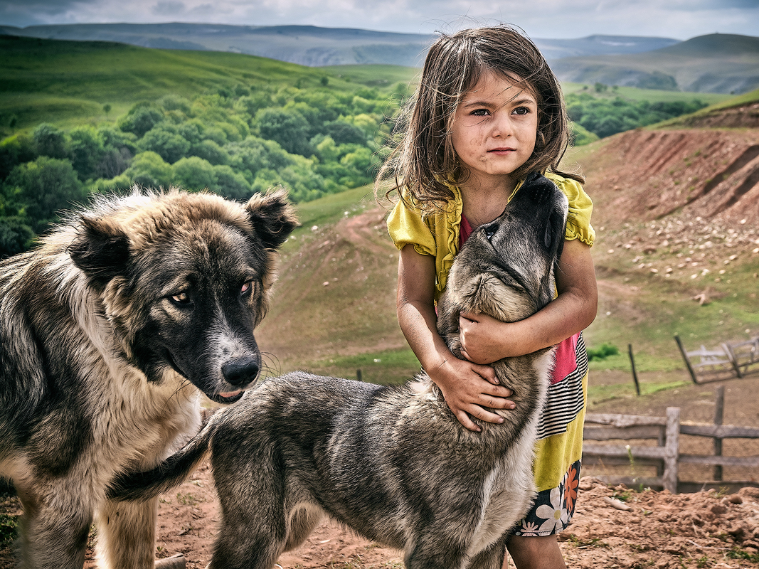 Верные друзья