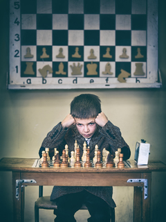 Шахматист