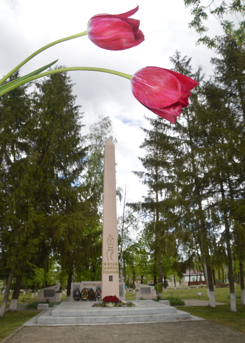 Victory over fascism without people