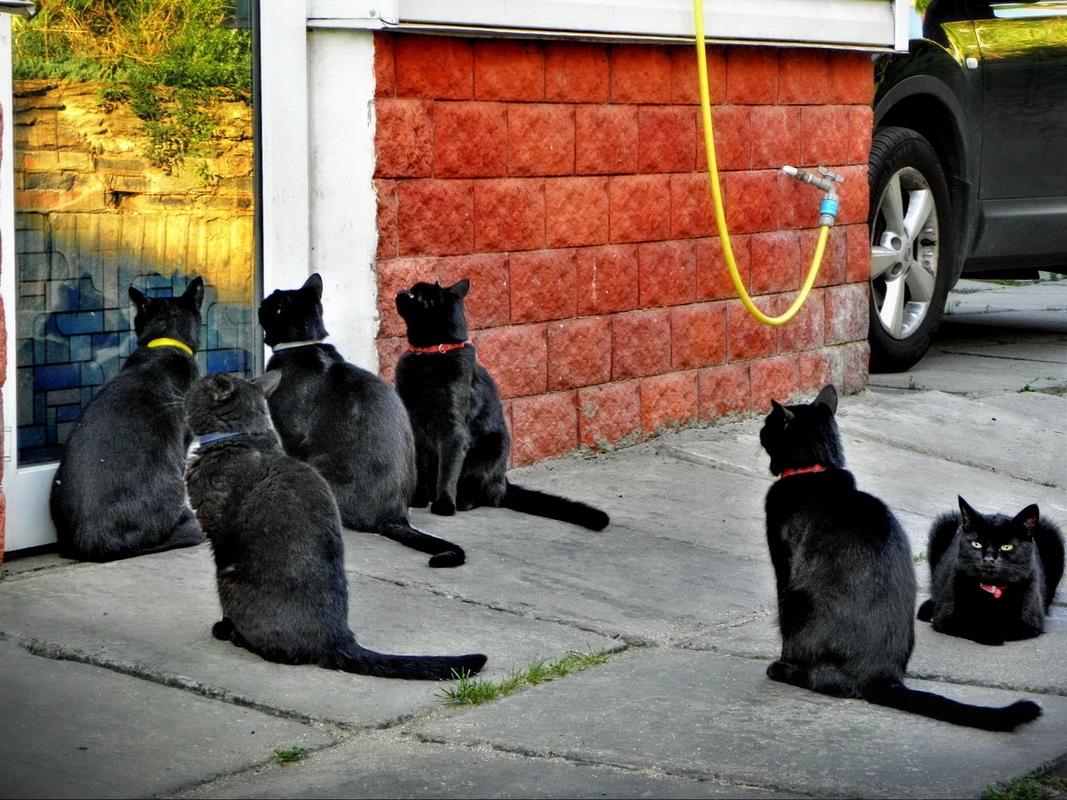 Очікування