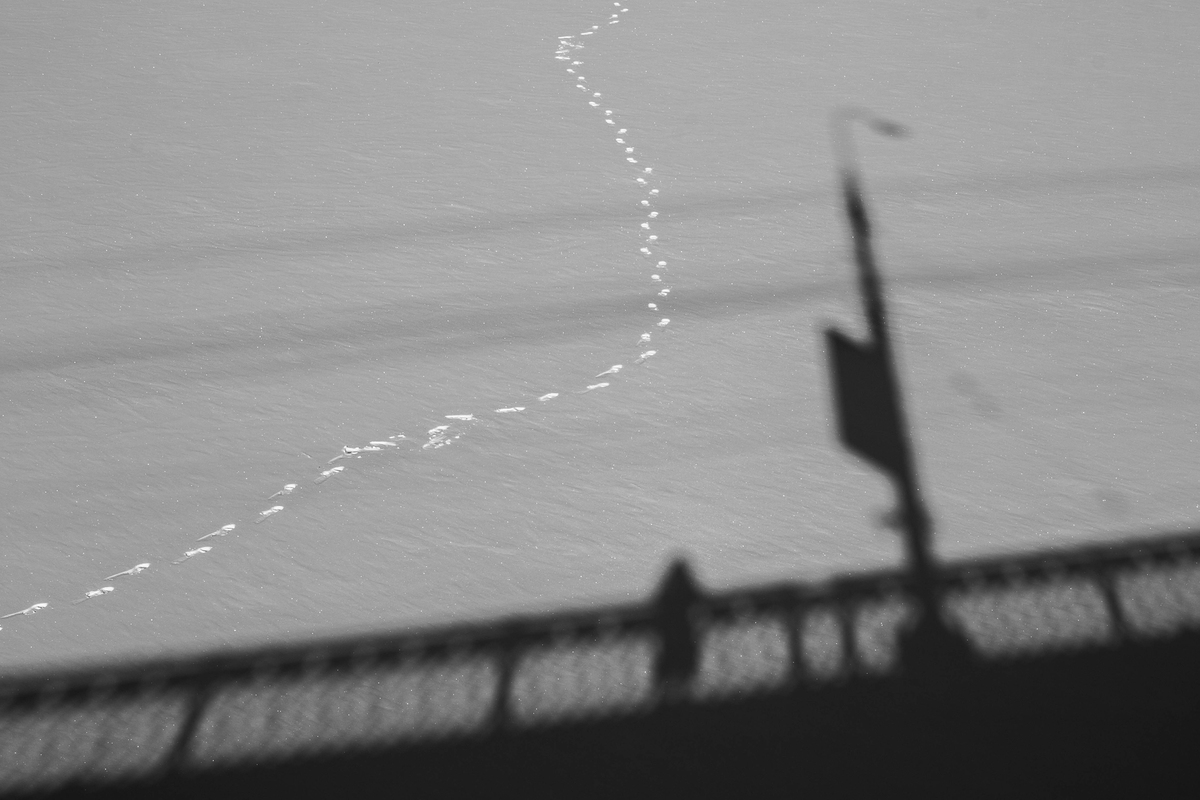 Холодна зима / Cold Winter 5