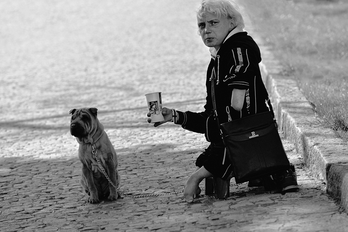 Вірний друг