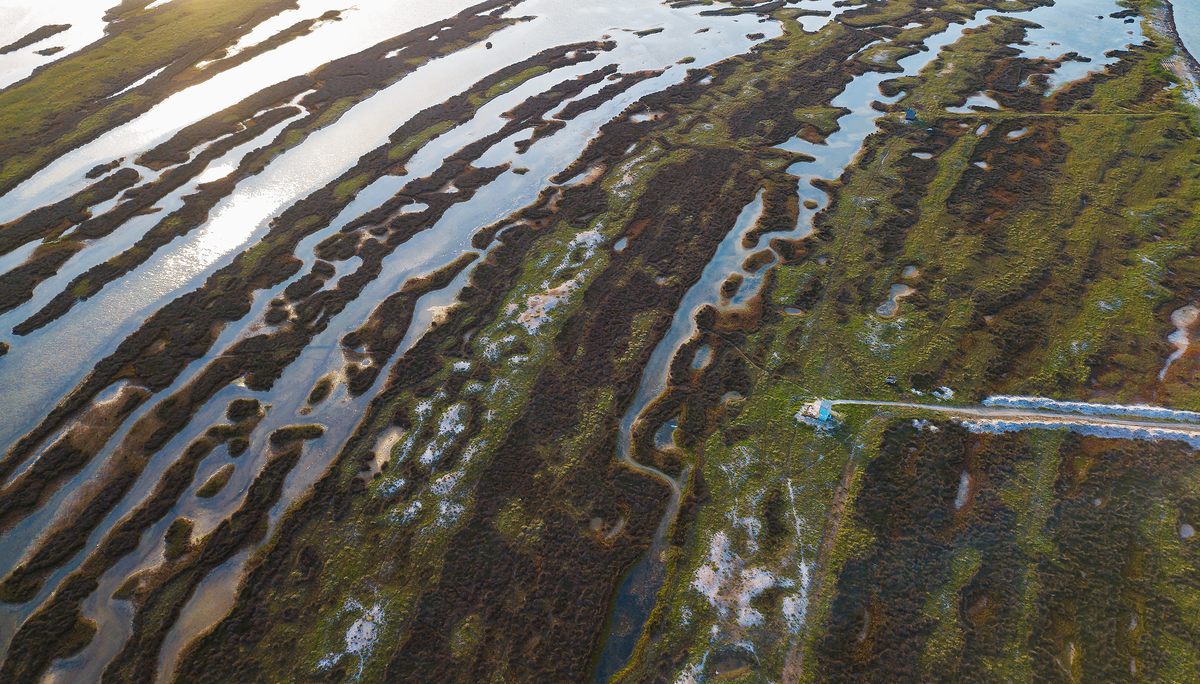 Абстракції Джарилгача