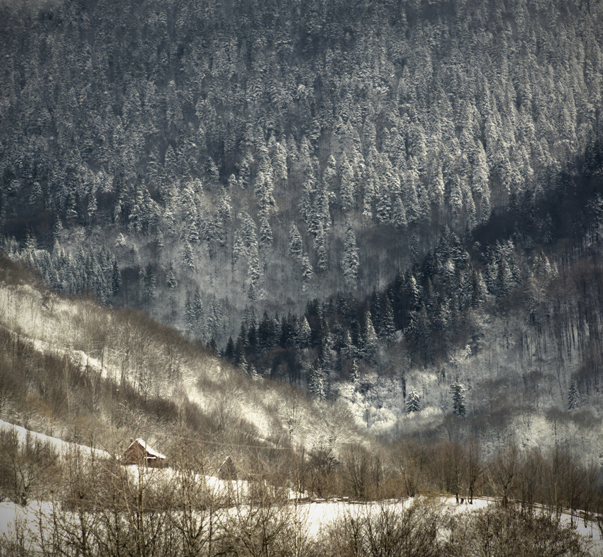 Сувора романтика Карпат.