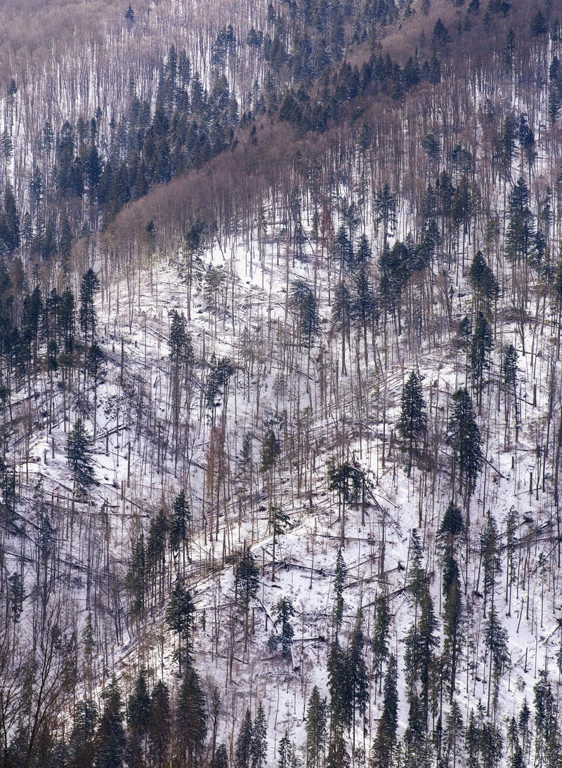 Гуцульский килим Шрами