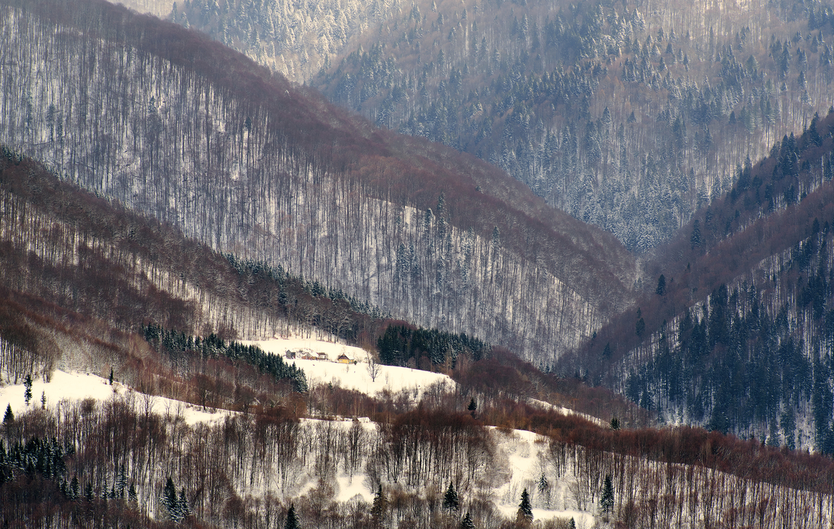 Зморшки зимові.