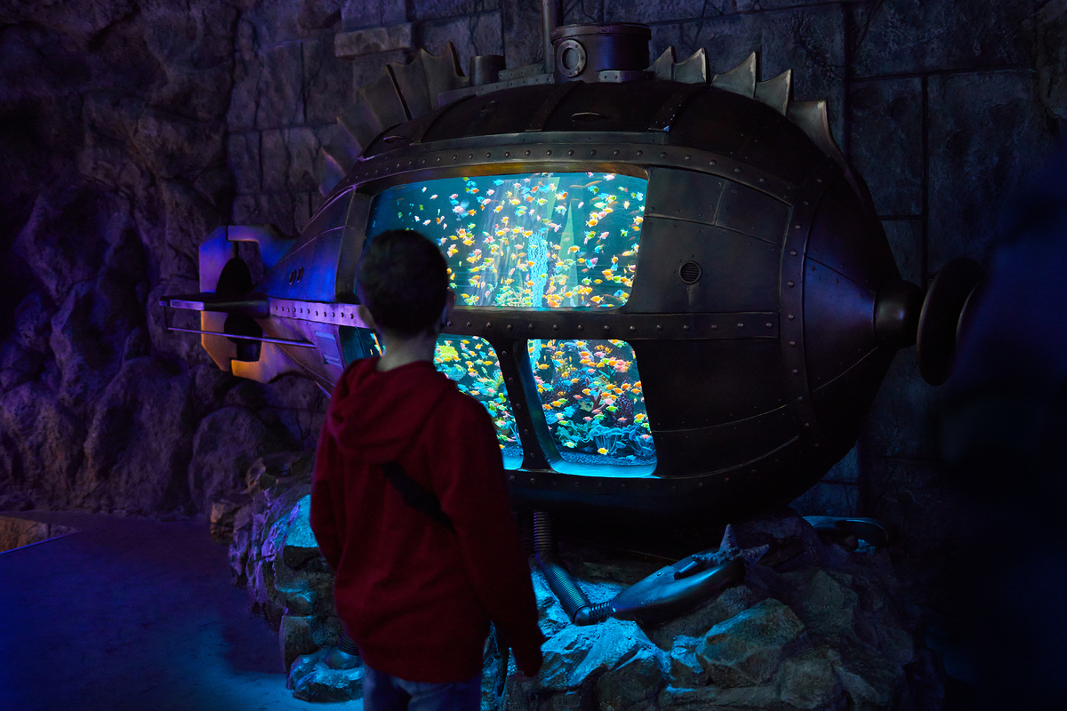 У Львівському Океанаріумі