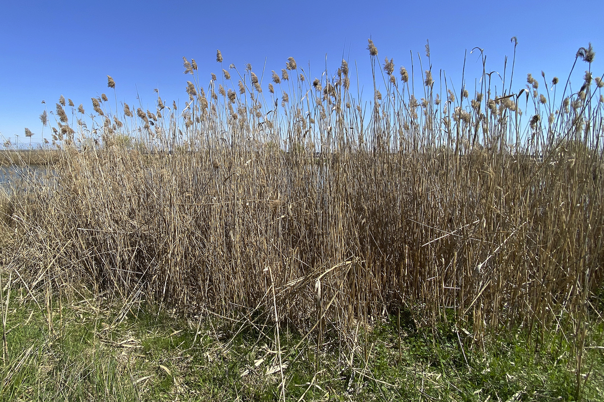 Набережна Київського водосховища