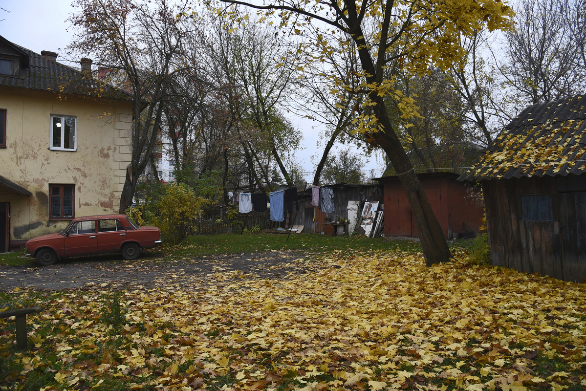 Клён, ты мой опавший...