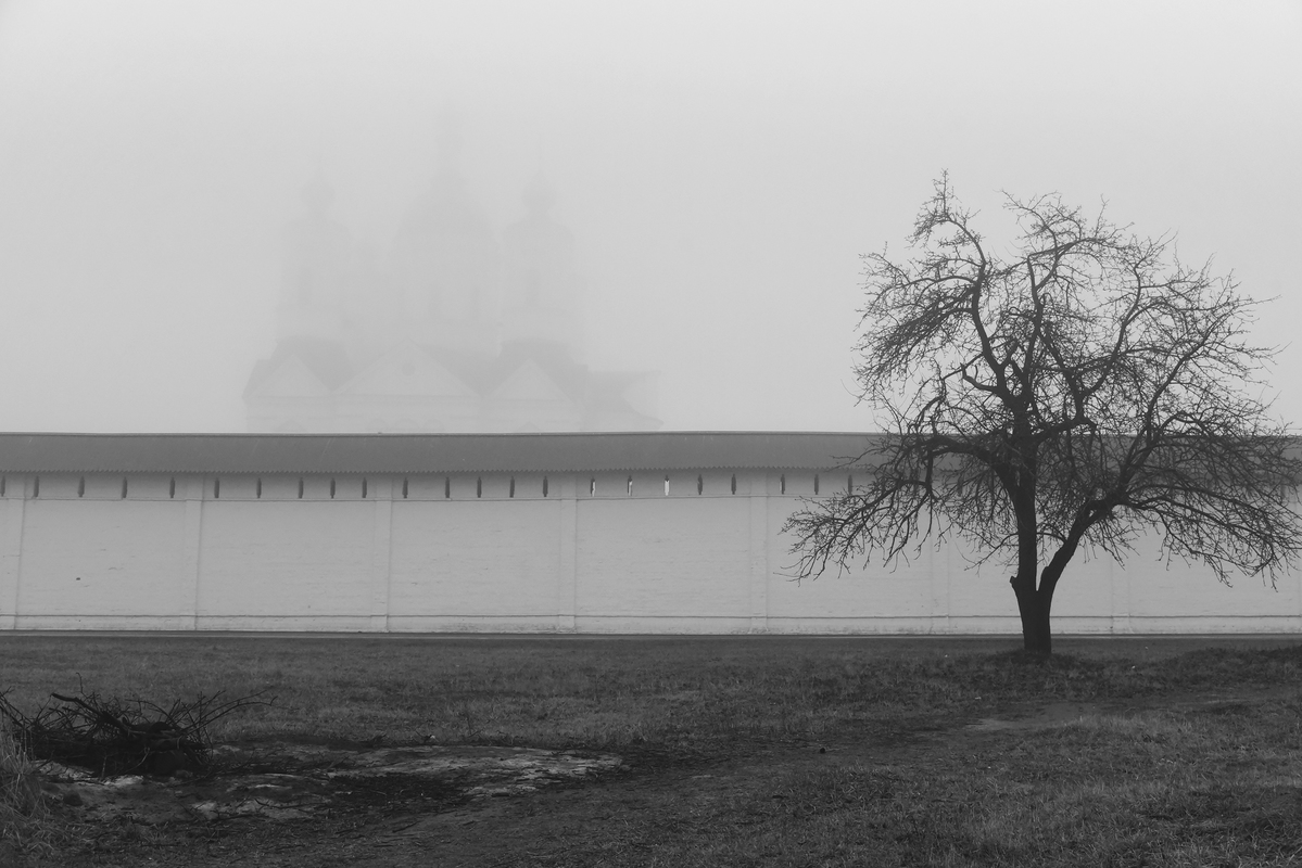 Из тумана 2.