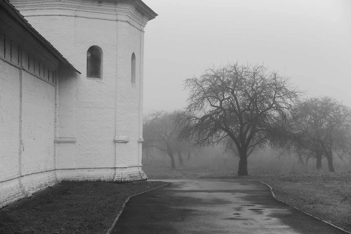 Из тумана 3.