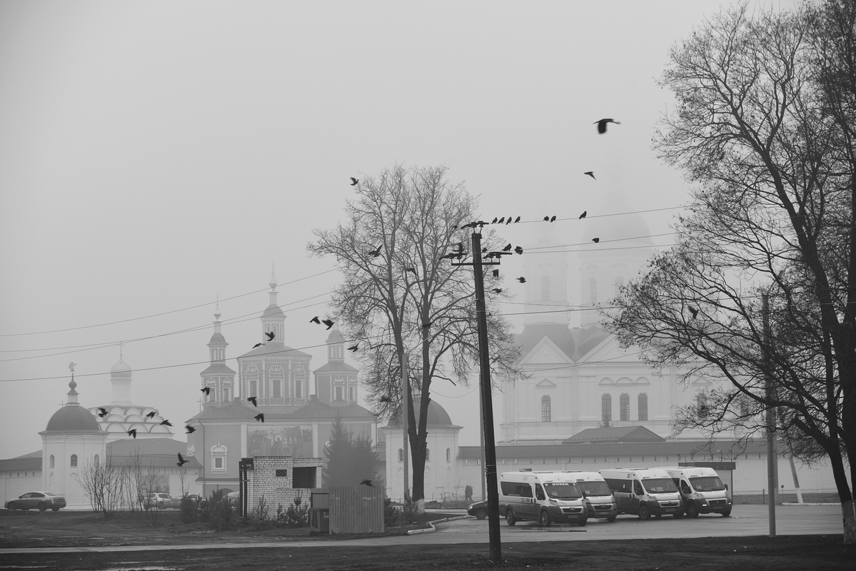 Из тумана 8.