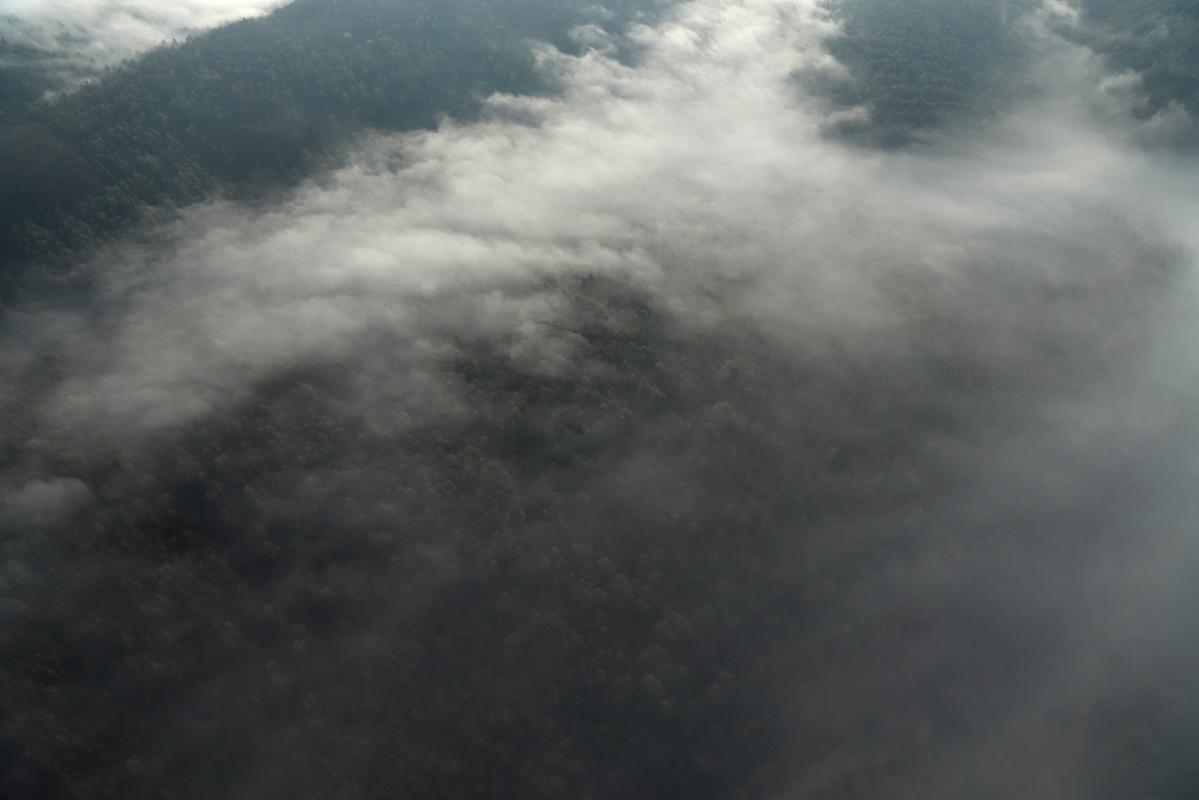 Туманний ранок