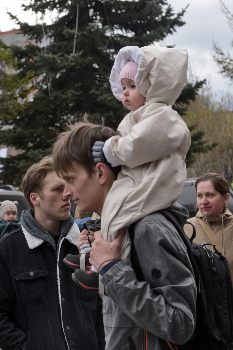 Папа - любимая лошадка