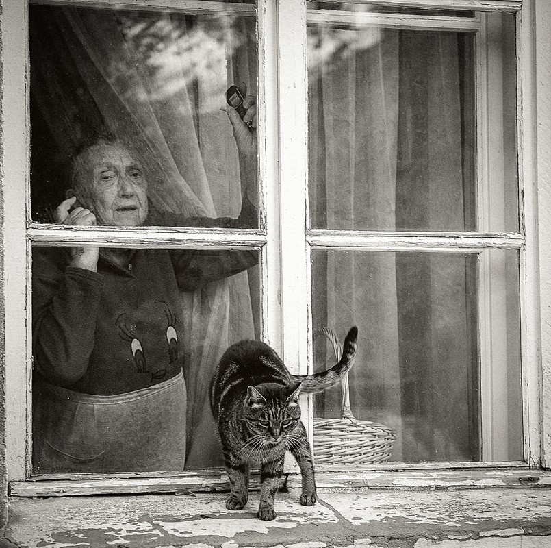 бабушка и кот