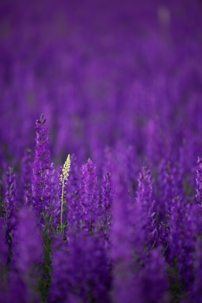 один в поле 