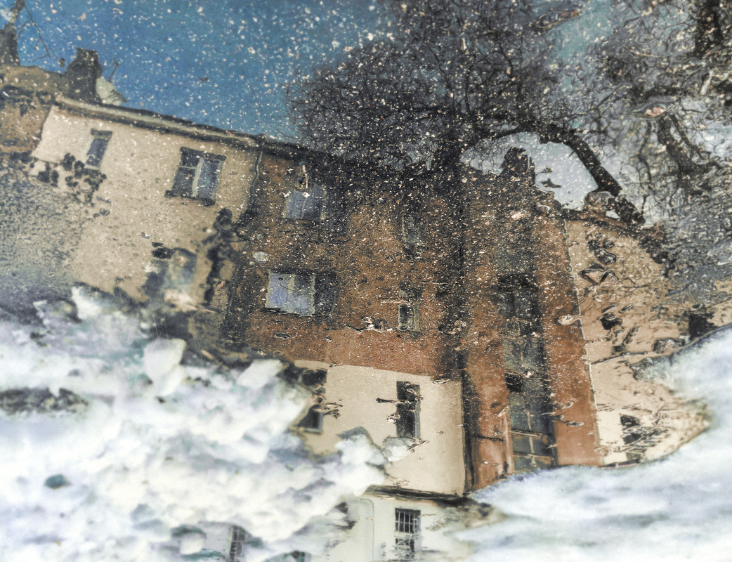 в зимнем отражении