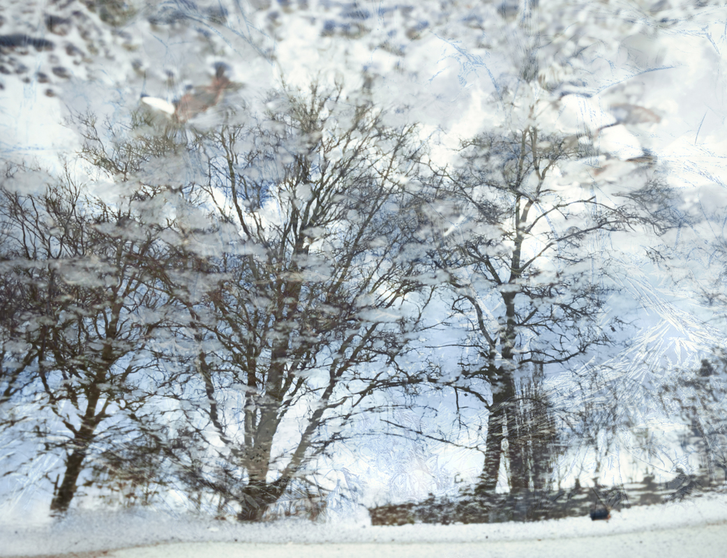 в холодном отражении неба