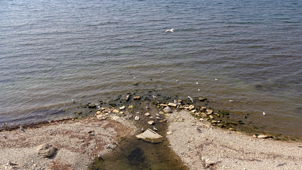 The banks of Gelendzhik  02
