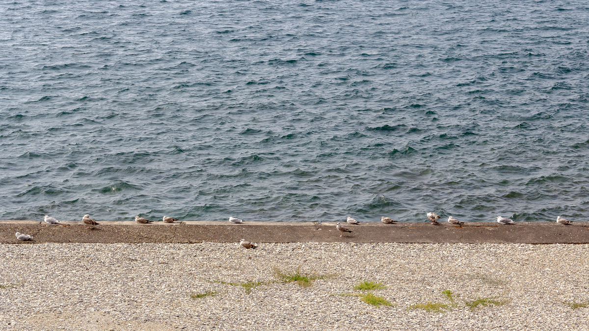 The banks of Gelendzhik  04