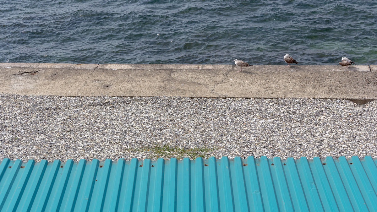 The banks of Gelendzhik  06