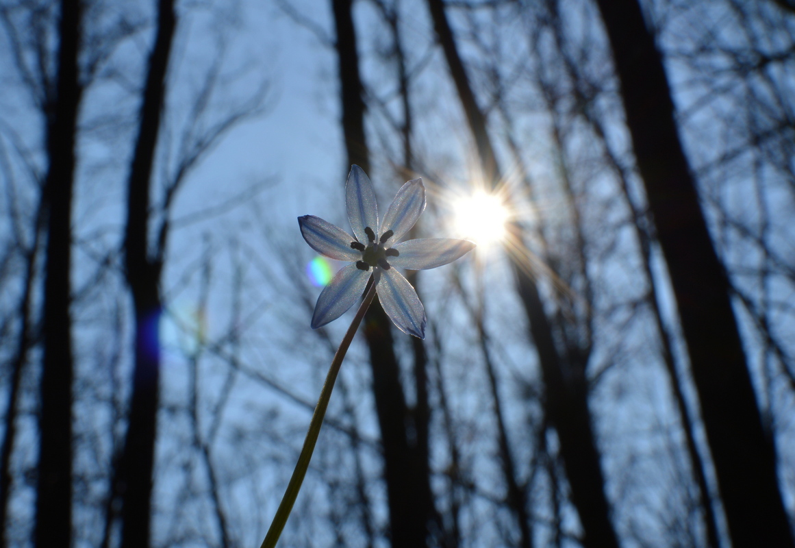 Сонце світить усім