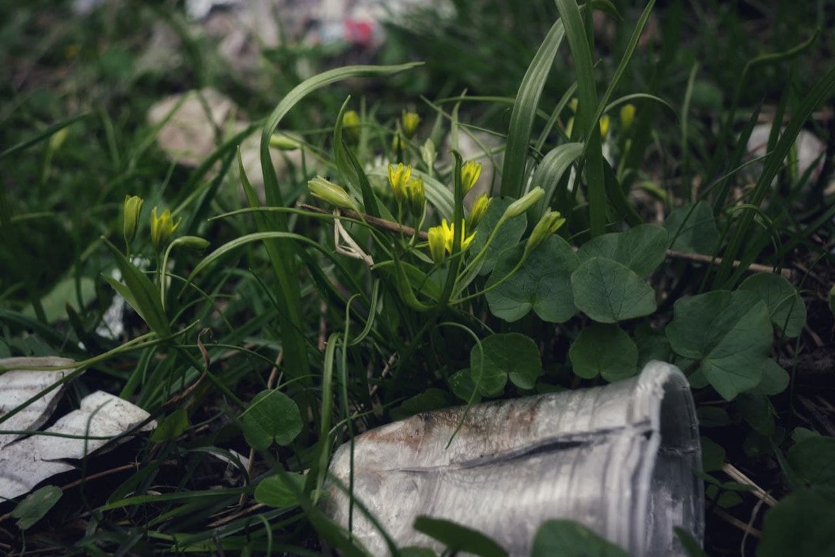 (НЕ)хлібними крихтами