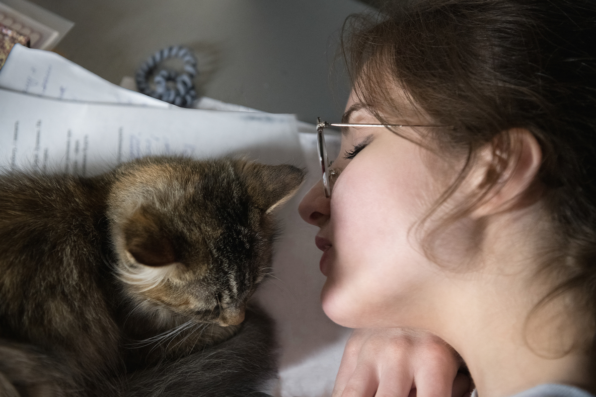 Солодкі сни