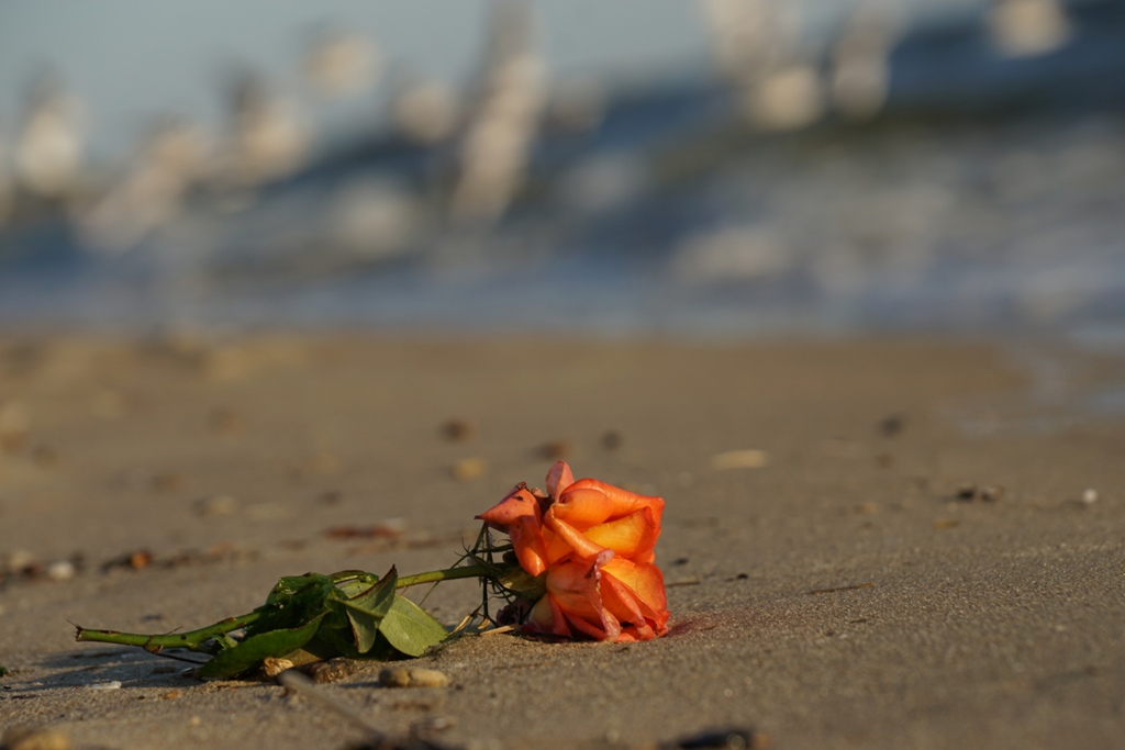 Загубленне щастя