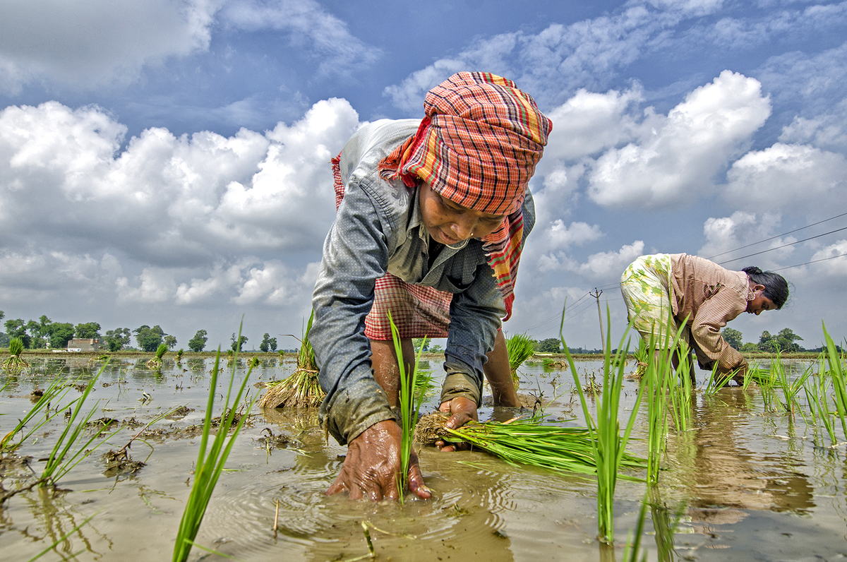 Women Farmer