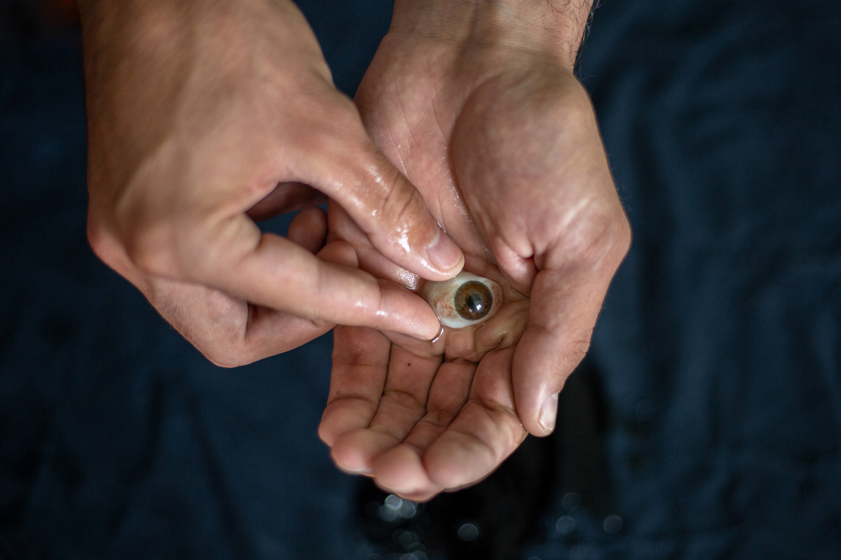 Superior, patience Ayub ...