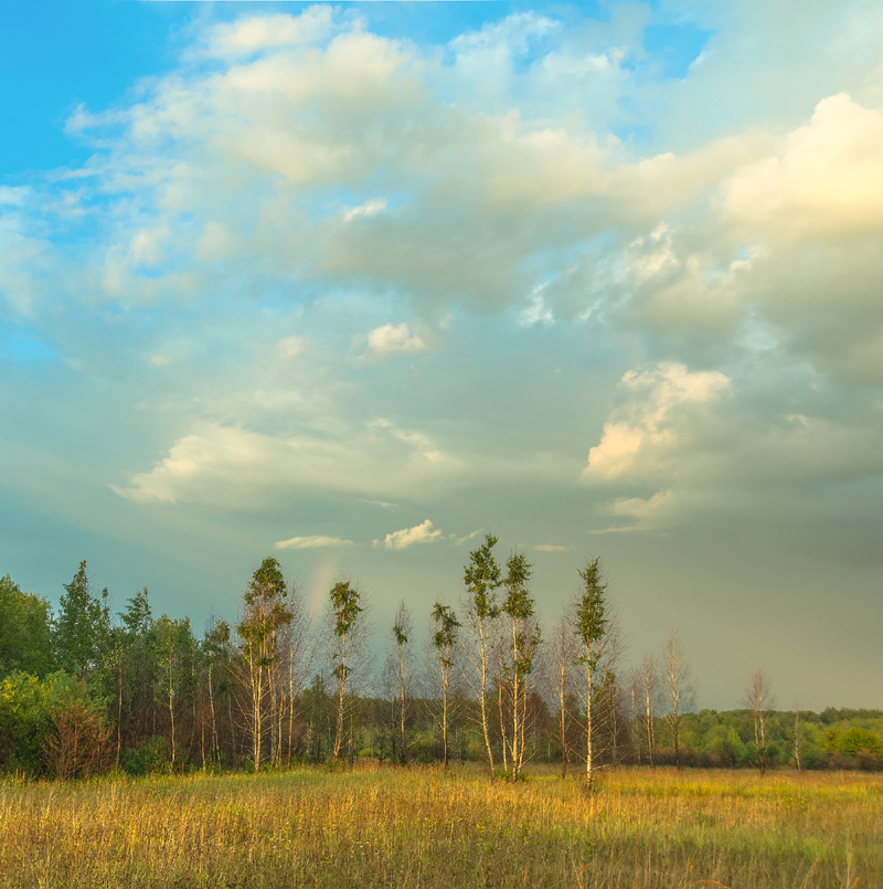 Карнавал дощу