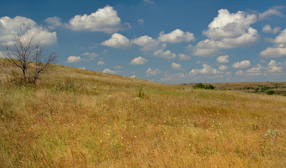 Чудотворчі барви Донецької землі
