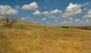 Чудотворчі барви Донецької землі