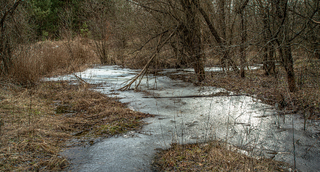 Сонячний день на початку весни