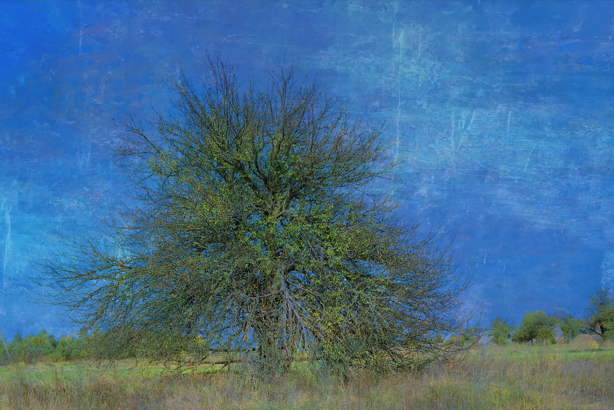 «Груша, пори року 2»