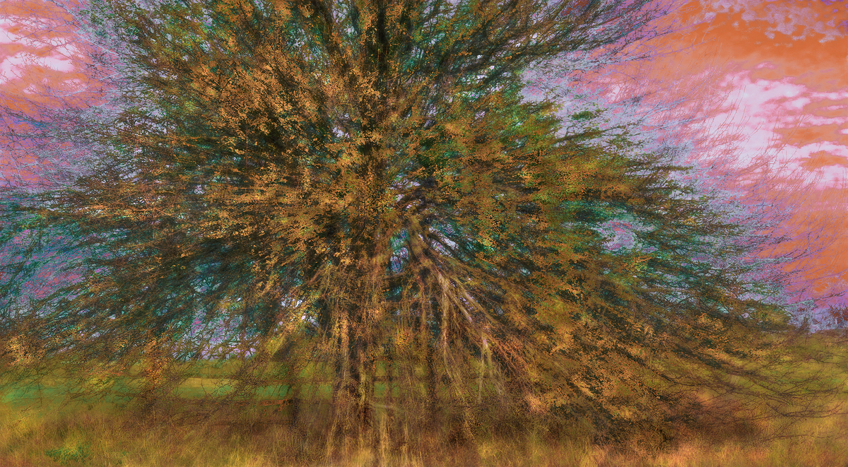 «Груша, пори року 3»