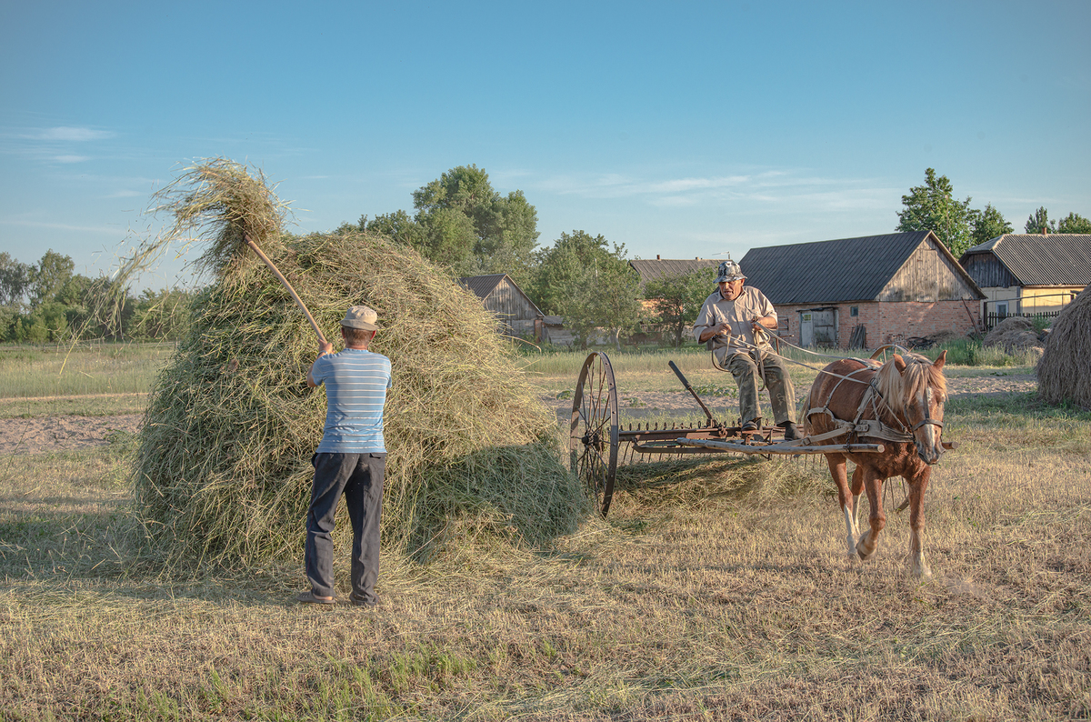 Село. Червневий день