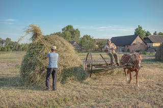 Село. Червневий день