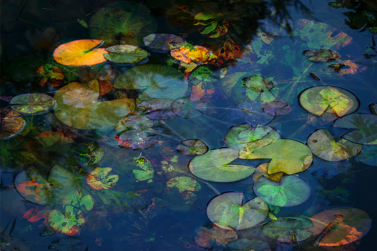 Чудотворні барви 