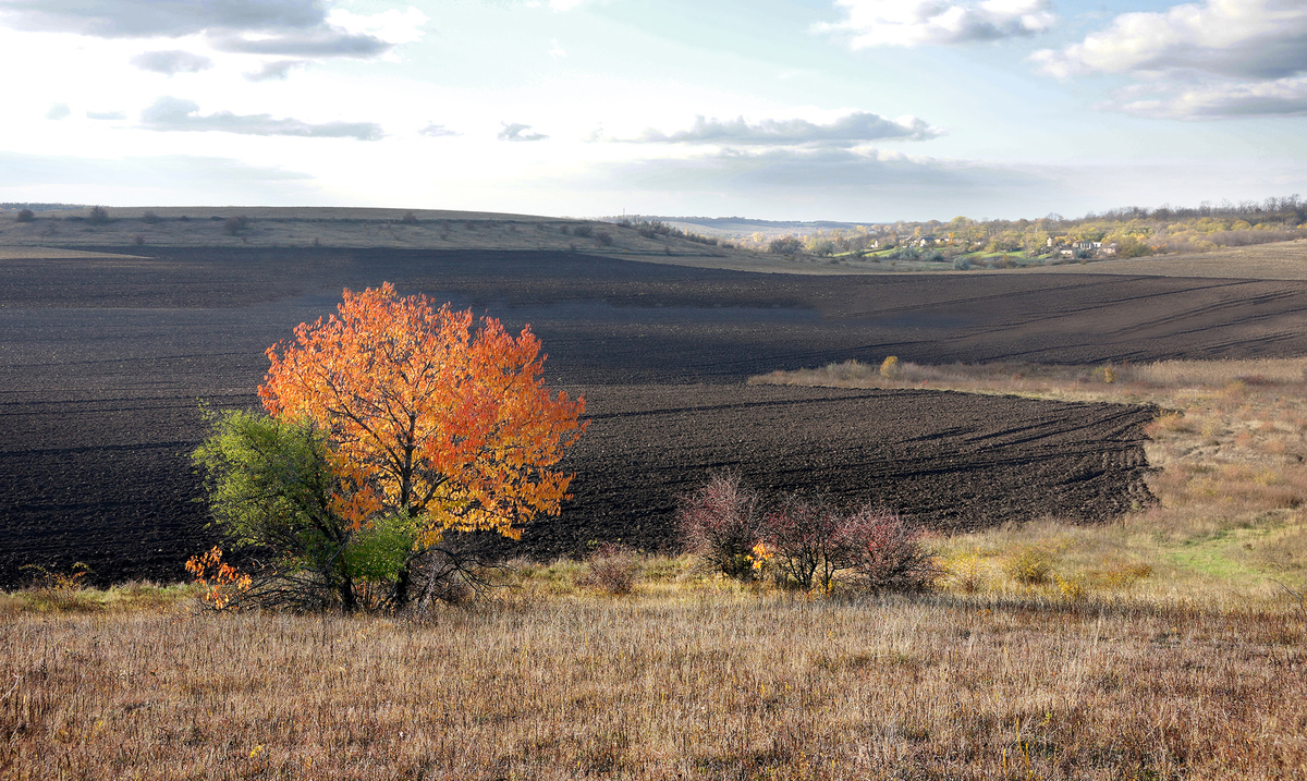 Осіння рілля