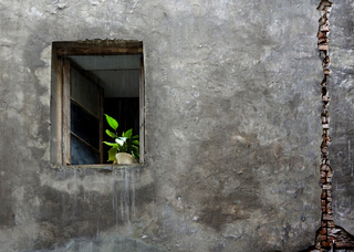 Старі стіни