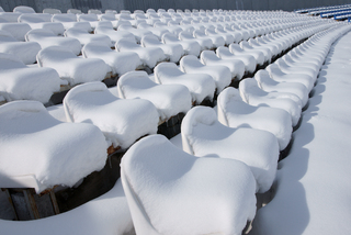 Тиша на трибунах