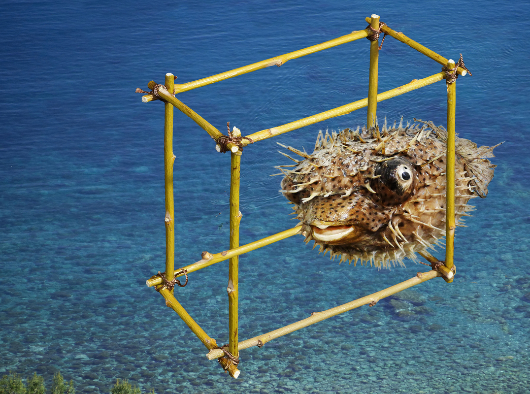 Неможлива пастка